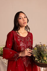 ZARA 3Pc - Embroidered Winter Cotton Dress