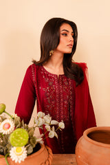 Turkish 3Pc - Embroidered Winter Cotton Stitched Dress
