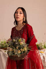 ZARA 3Pc - Embroidered Winter Cotton Dress