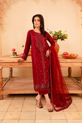 Turkish 3Pc - Embroidered Winter Cotton Stitched Dress