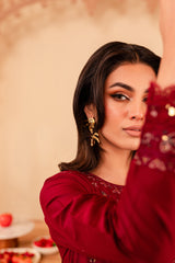 Turkish 3Pc - Embroidered Winter Cotton Stitched Dress