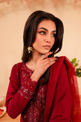 Turkish 3Pc - Embroidered Winter Cotton Stitched Dress