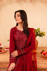 Turkish 3Pc - Embroidered Winter Cotton Stitched Dress