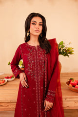 Turkish 3Pc - Embroidered Winter Cotton Stitched Dress