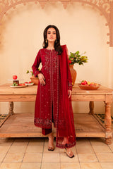 Turkish 3Pc - Embroidered Winter Cotton Stitched Dress