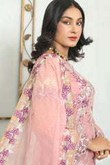 AZ-103 CHIFFON BHAMBER