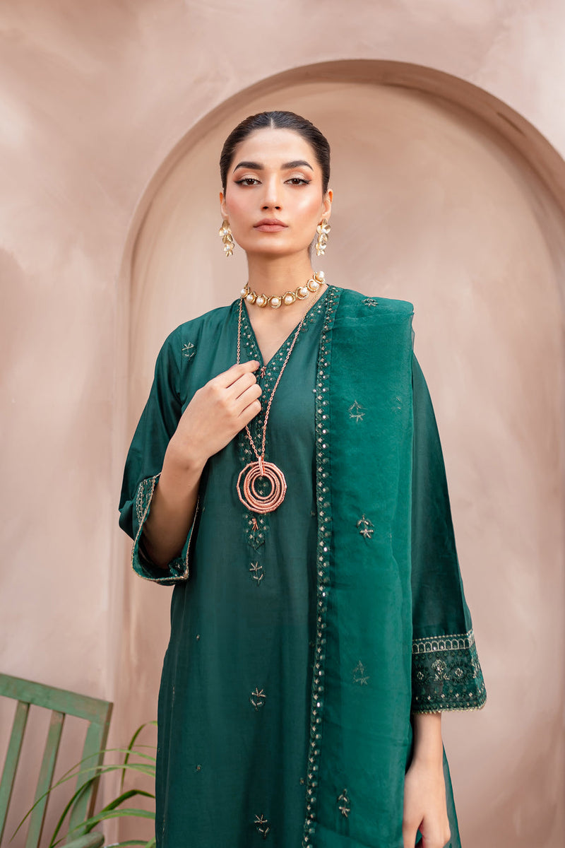 Zink Pine 3Pc - Embroidered Winter Cotton Dress