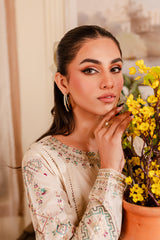 Almond 2Pc - Embroidered Winter Cotton Dress