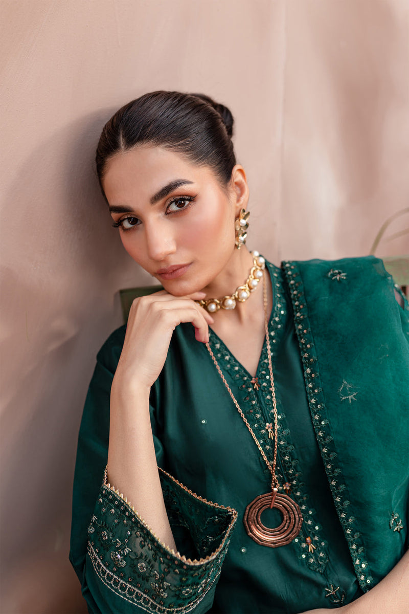 Zink Pine 3Pc - Embroidered Winter Cotton Dress