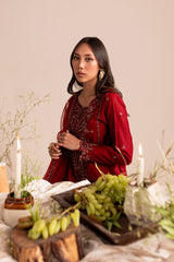 ZARA 3Pc - Embroidered Winter Cotton Dress