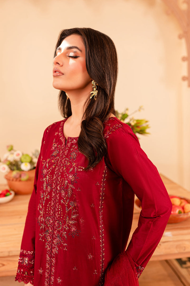 Turkish 3Pc - Embroidered Winter Cotton Stitched Dress