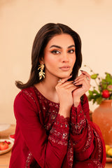 Turkish 3Pc - Embroidered Winter Cotton Stitched Dress
