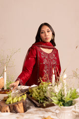 ZARA 3Pc - Embroidered Winter Cotton Dress