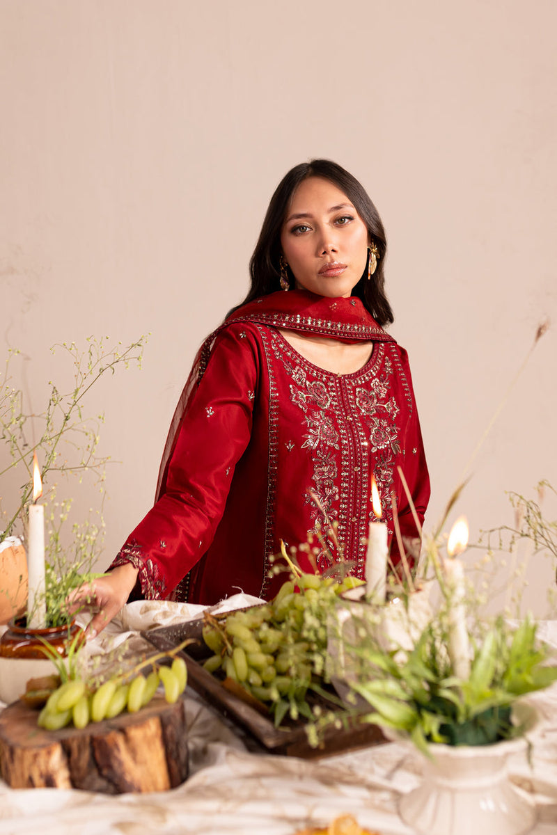 ZARA 3Pc - Embroidered Winter Cotton Dress