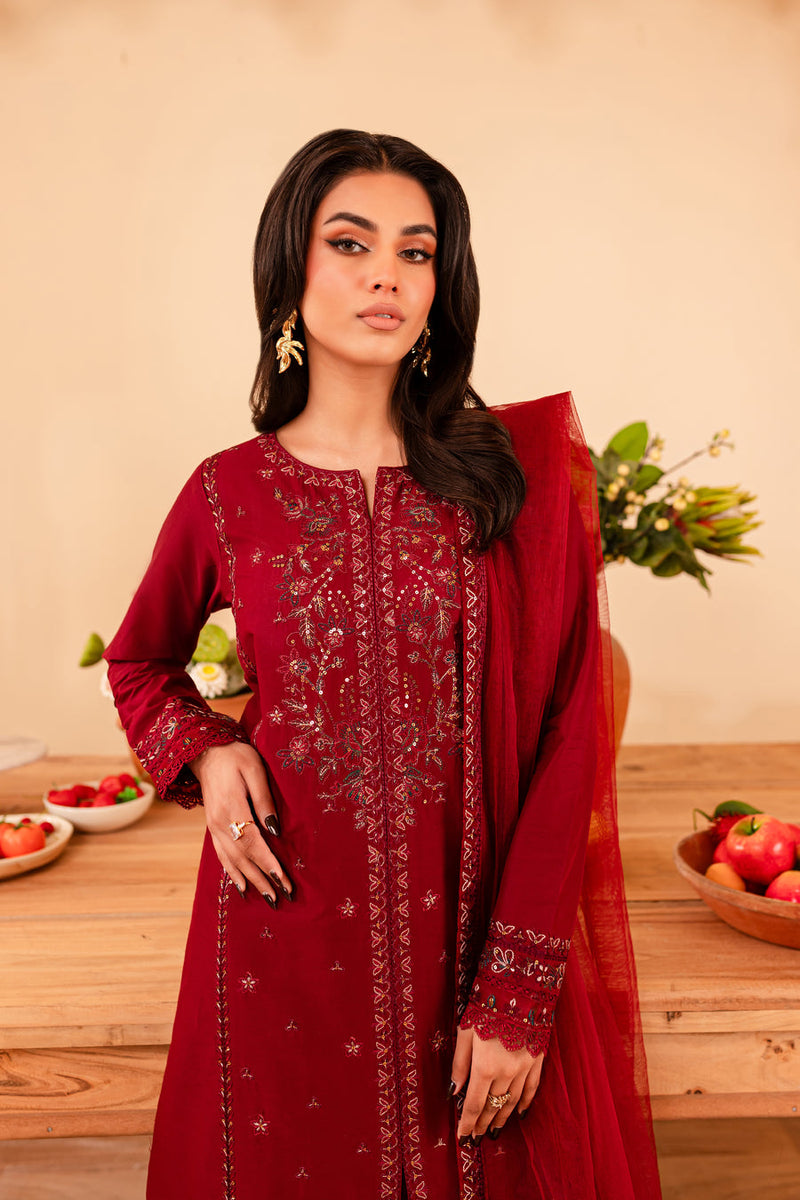 Turkish 3Pc - Embroidered Winter Cotton Stitched Dress