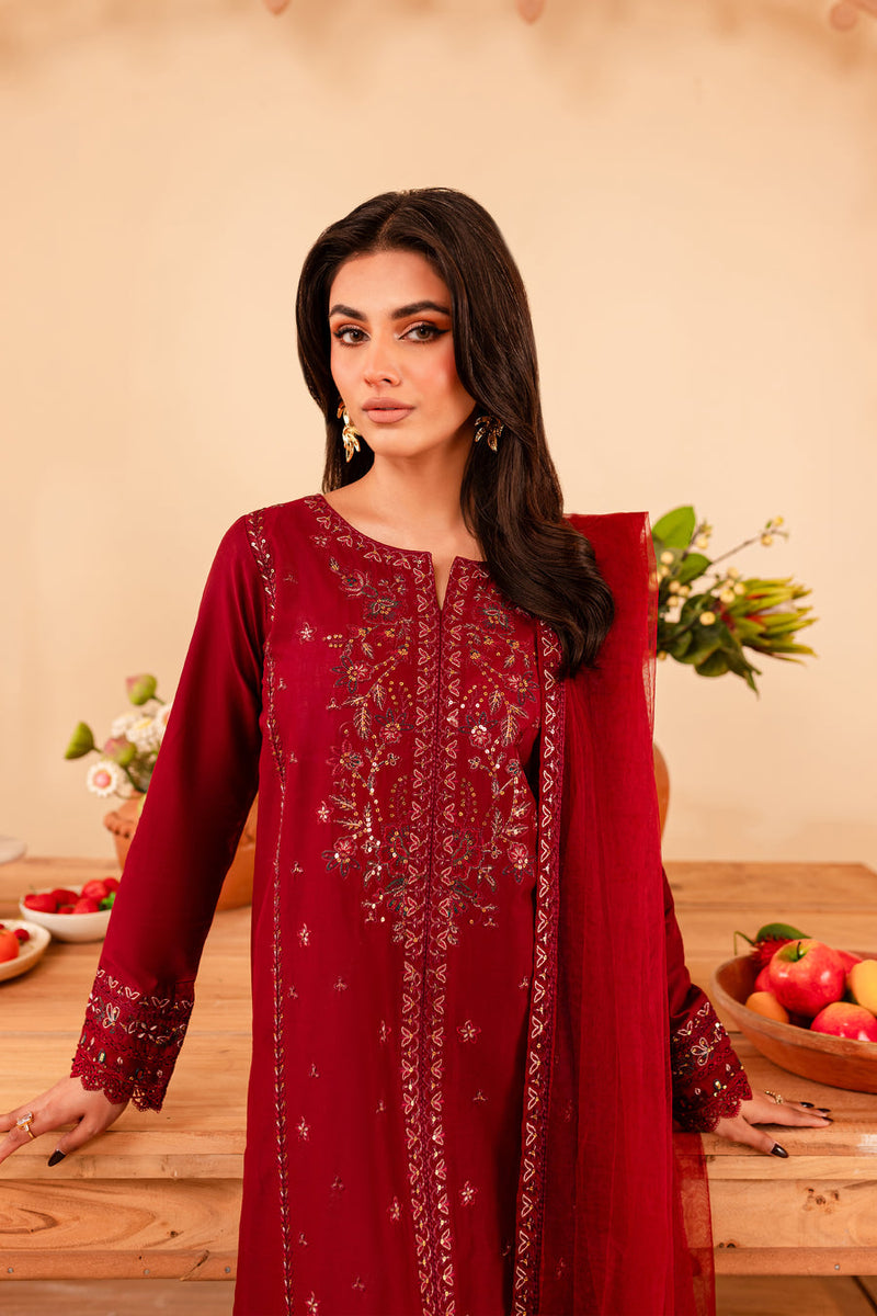 Turkish 3Pc - Embroidered Winter Cotton Stitched Dress