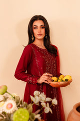 Turkish 3Pc - Embroidered Winter Cotton Stitched Dress