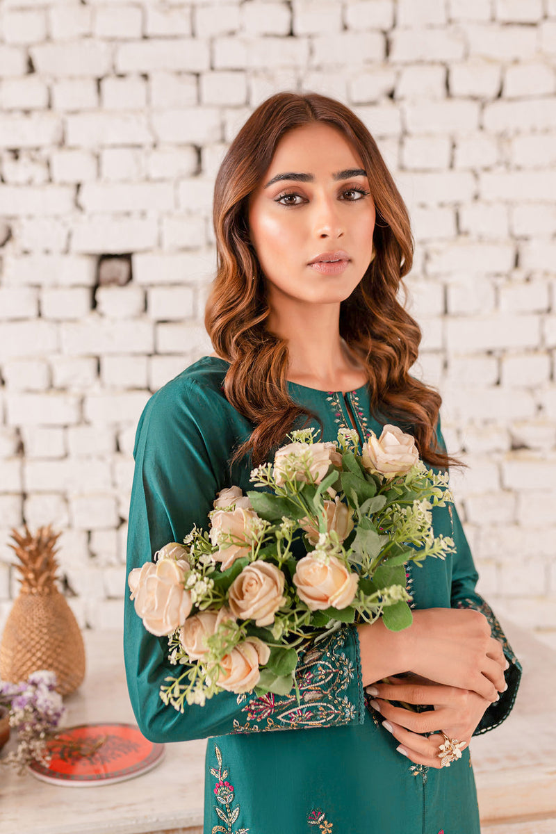 Eyana 2Pc - Embroidered Winter Cotton Dress